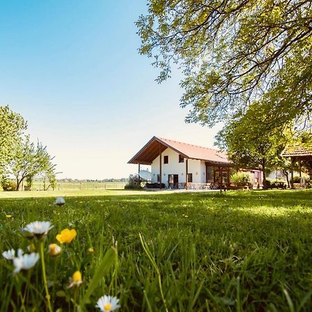 Sonnenblumenhof Guest House Muehlheim Luaran gambar