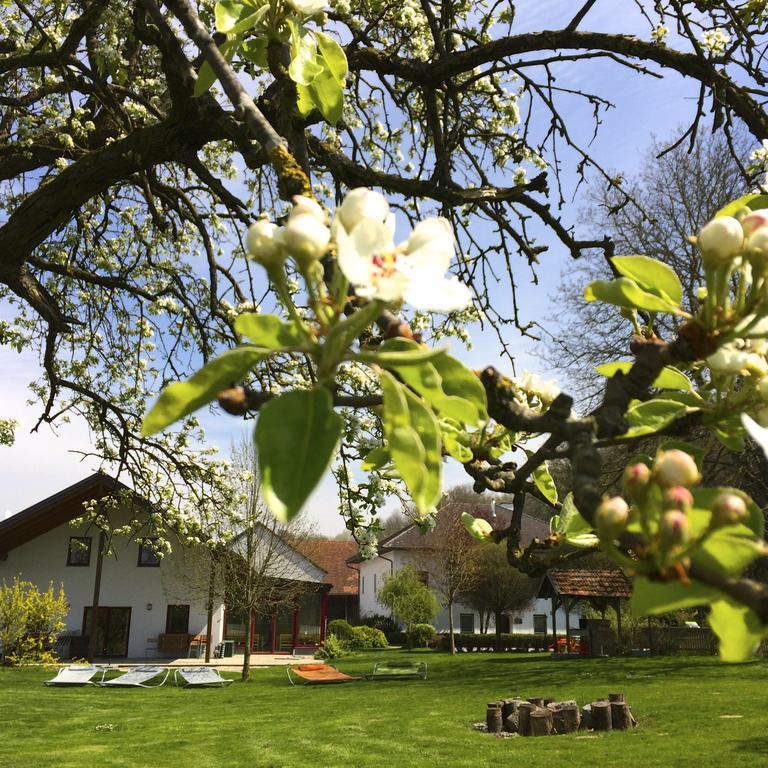 Sonnenblumenhof Guest House Muehlheim Luaran gambar